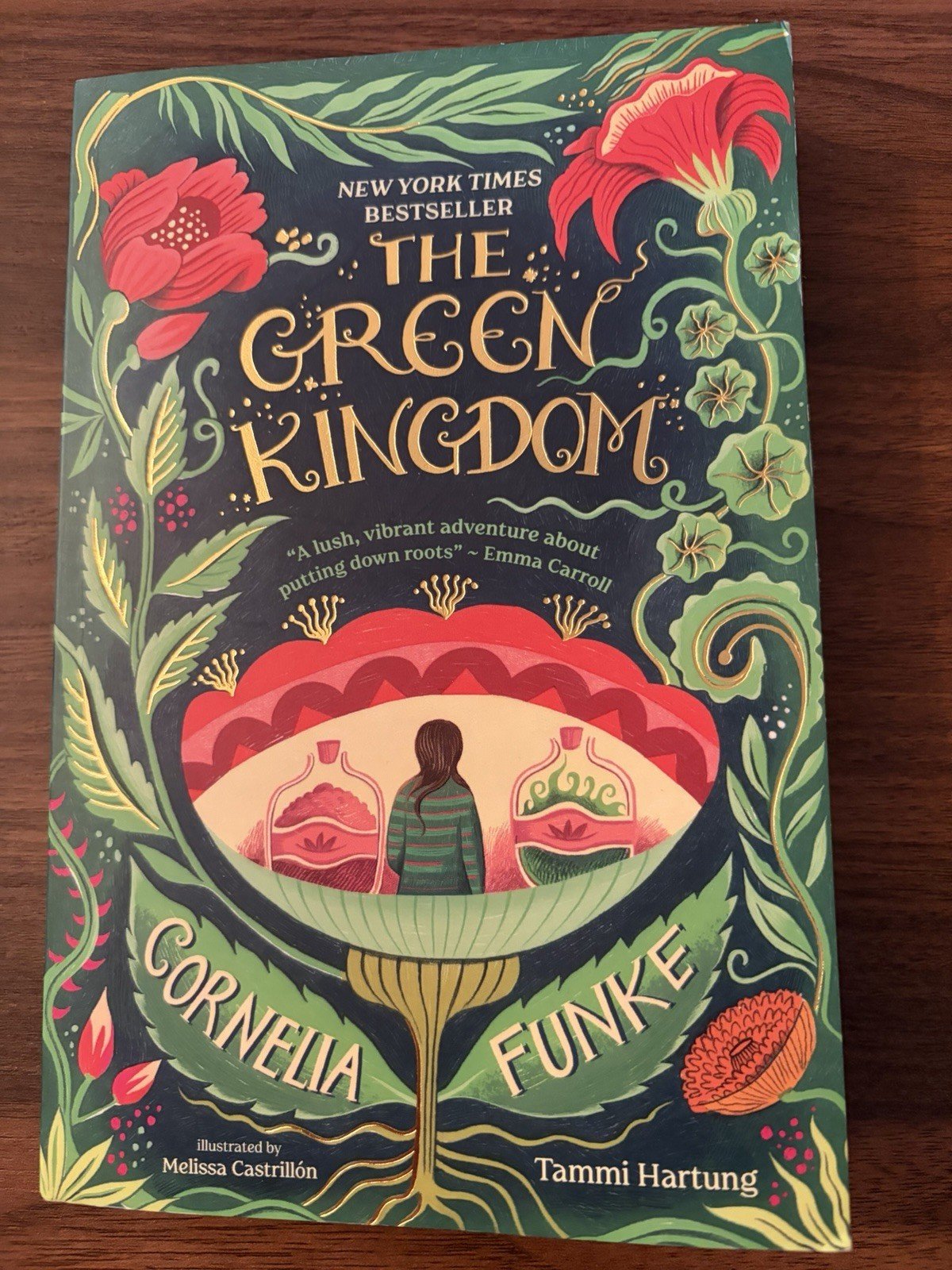 Cornelia Funke Tammi Hartung The Green Kingdom (Paperback)