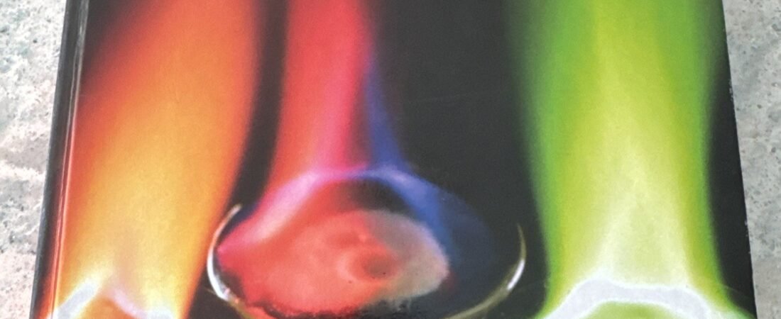 Glencoe Chemistry Ser.: Chemistry : Matter and Change by Laurel Dingrando, Dinah