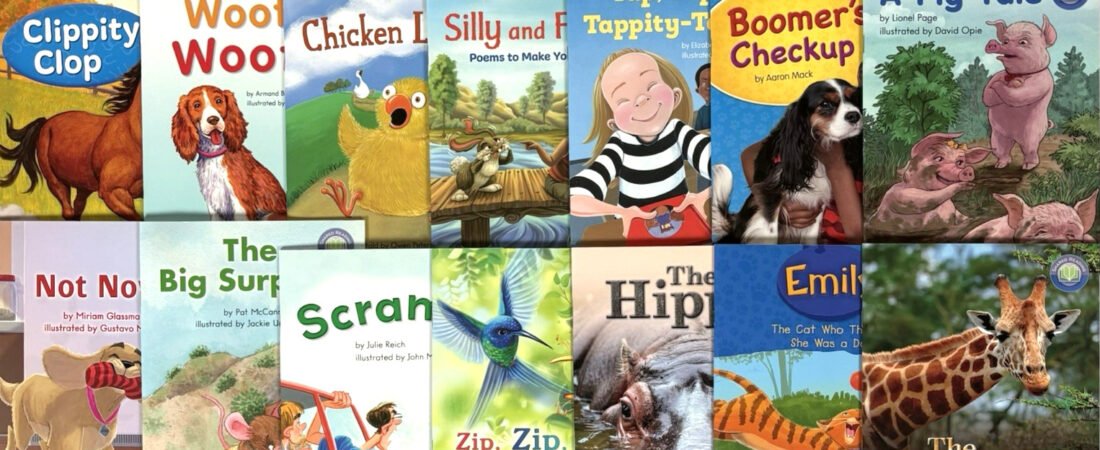GRADE 1 READERS Fountas & Pinnell Shared Reading Homeschool – Lot of 30 Books