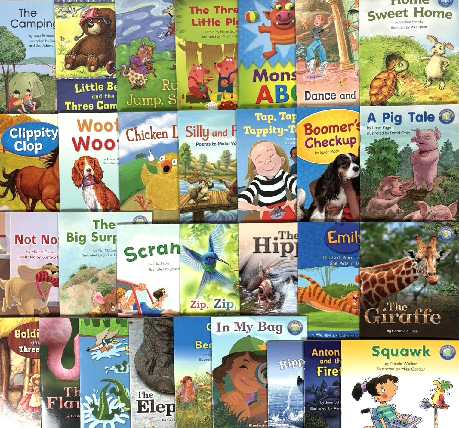 GRADE 1 READERS Fountas & Pinnell Shared Reading Homeschool – Lot of 30 Books