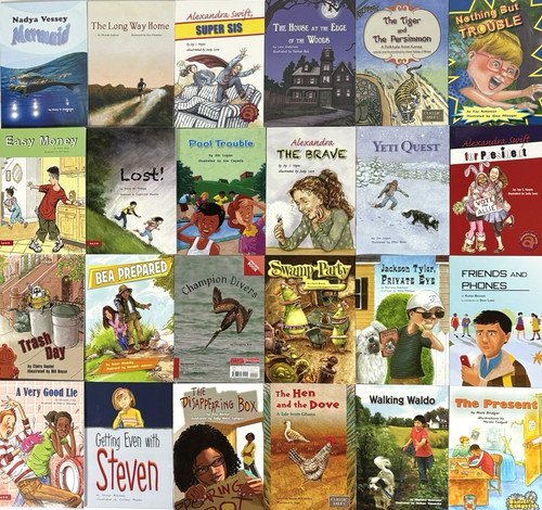 GRADE 3 READERS Homeschool Reading Books Fountas & Pinnell Curriculum 30 Books