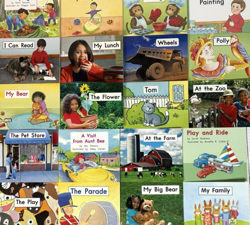 Fountas & Pinnell Level Readers Kindergarten A-D | 20-Book Library