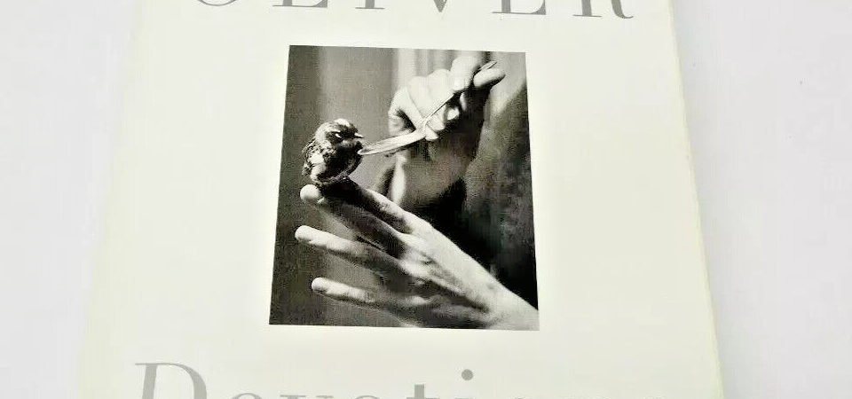 Devotions The Selected Poems of Mary Oliver, Paperback Book